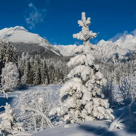 A205 Hrebienok Stary Smokovec With Garage *