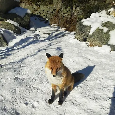 A205 Hrebienok Stary Smokovec With Garage Апартаменты *