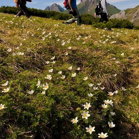 Διαμέρισμα A205 Hrebienok Stary Smokovec With Garage Vysoké Tatry