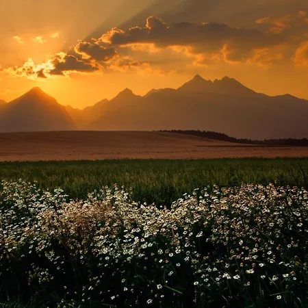 A205 Hrebienok Stary Smokovec With Garage