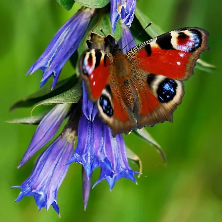 A205 Hrebienok Stary Smokovec With Garage アパート *