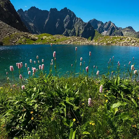 アパート A205 Hrebienok Stary Smokovec With Garage *