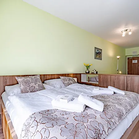 A205 Hrebienok Stary Smokovec With Garage *