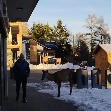 A205 Hrebienok Stary Smokovec With Garage Vysoké Tatry